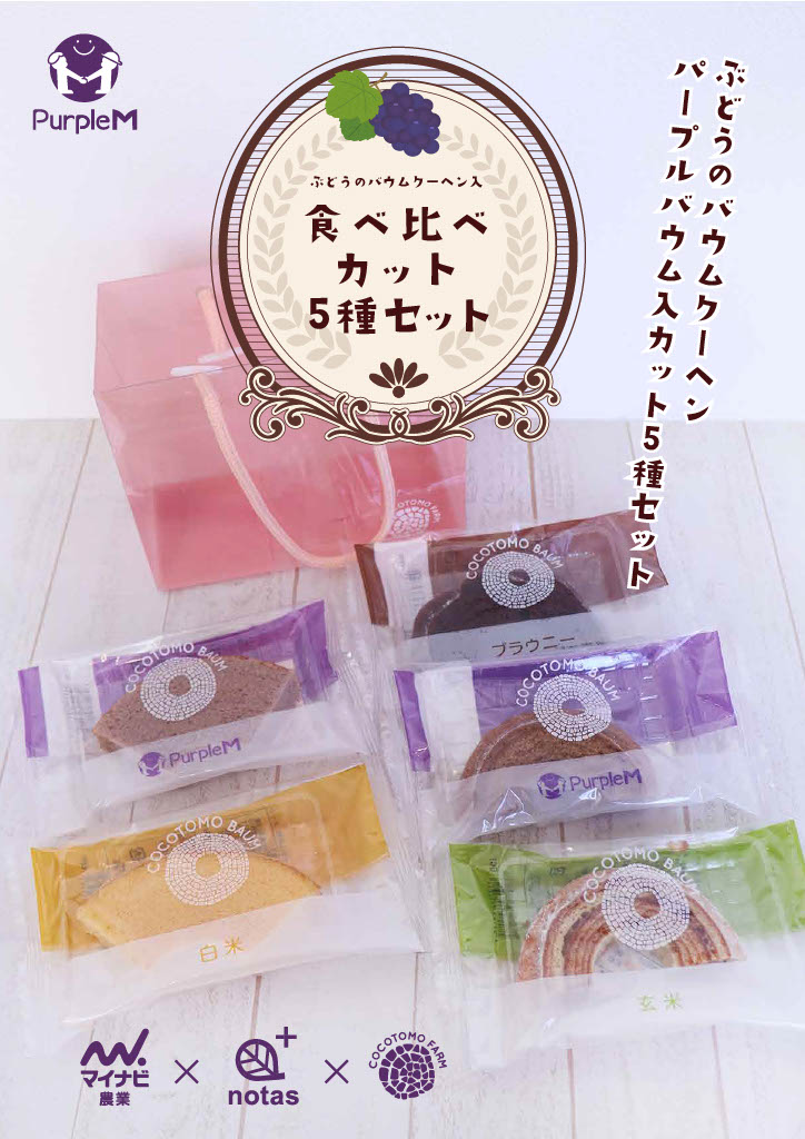 このプランのおすすめポイント写真