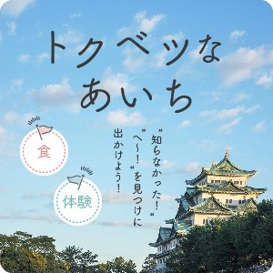 トクベツなあいち