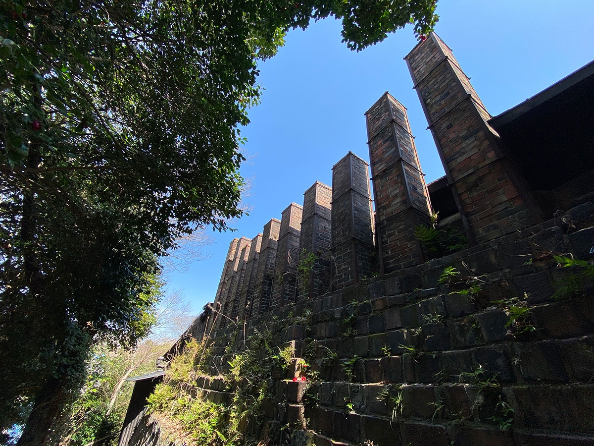 このプランのおすすめポイント写真