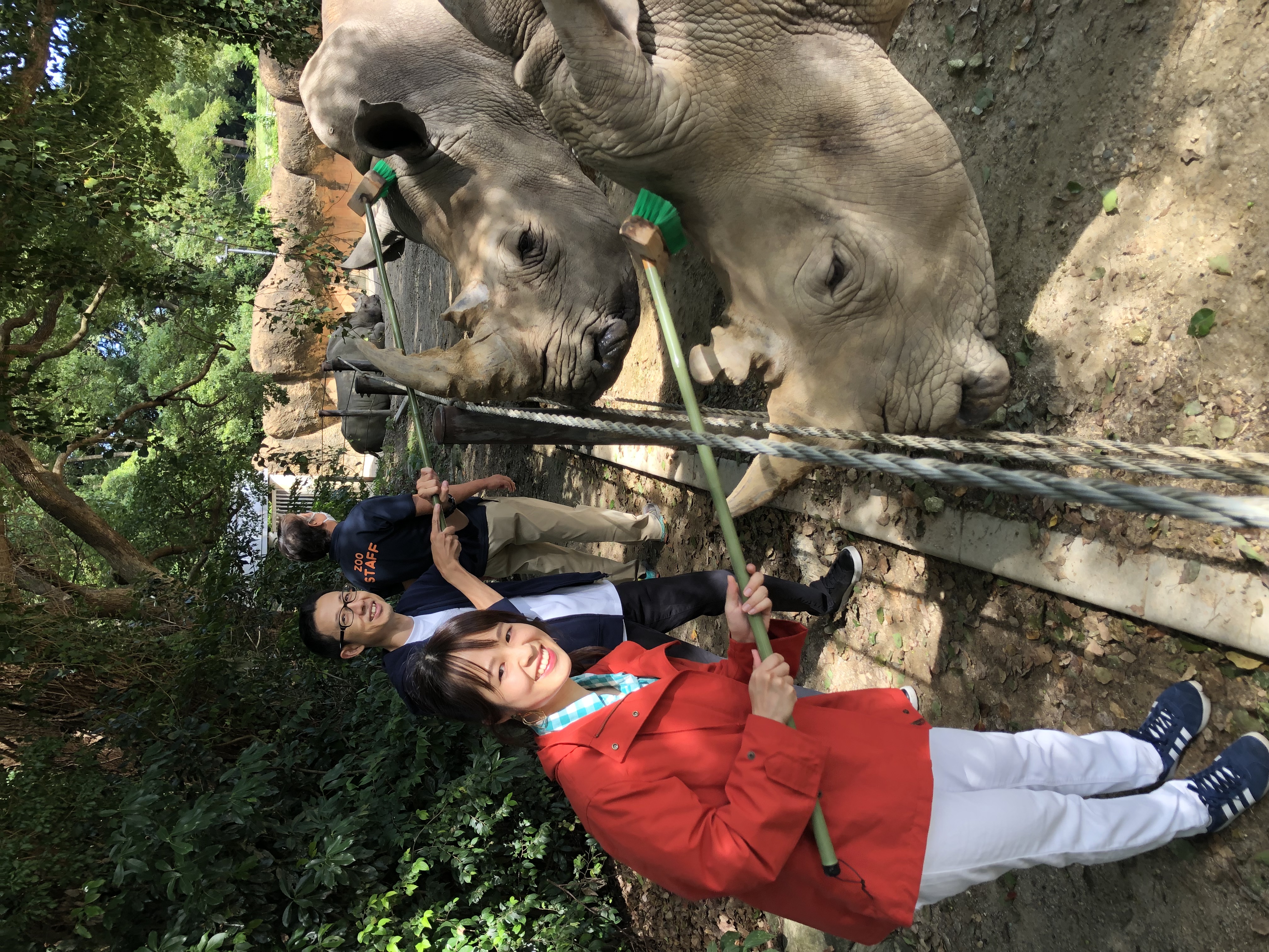 プランレポートの写真