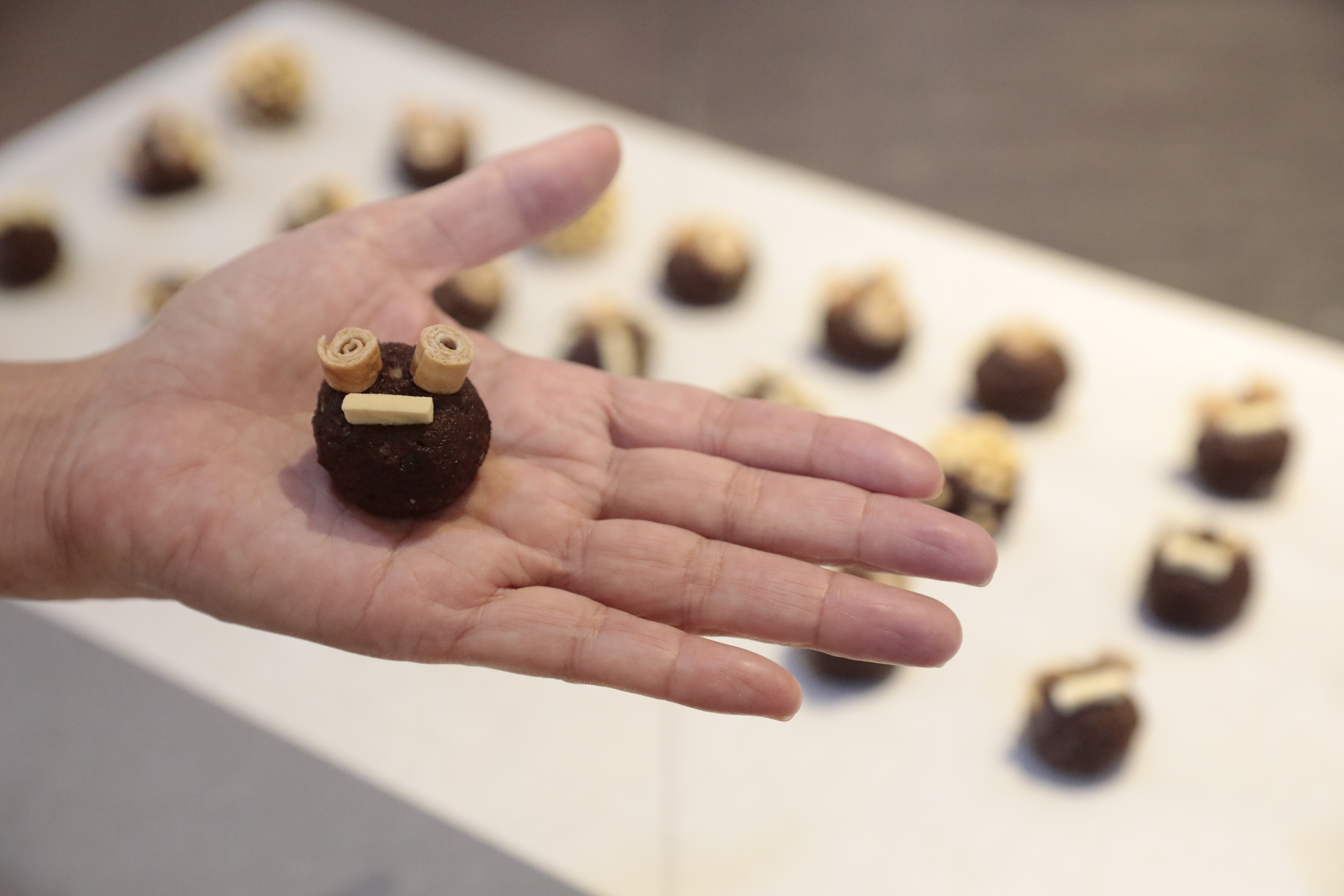 このプランのおすすめポイント写真