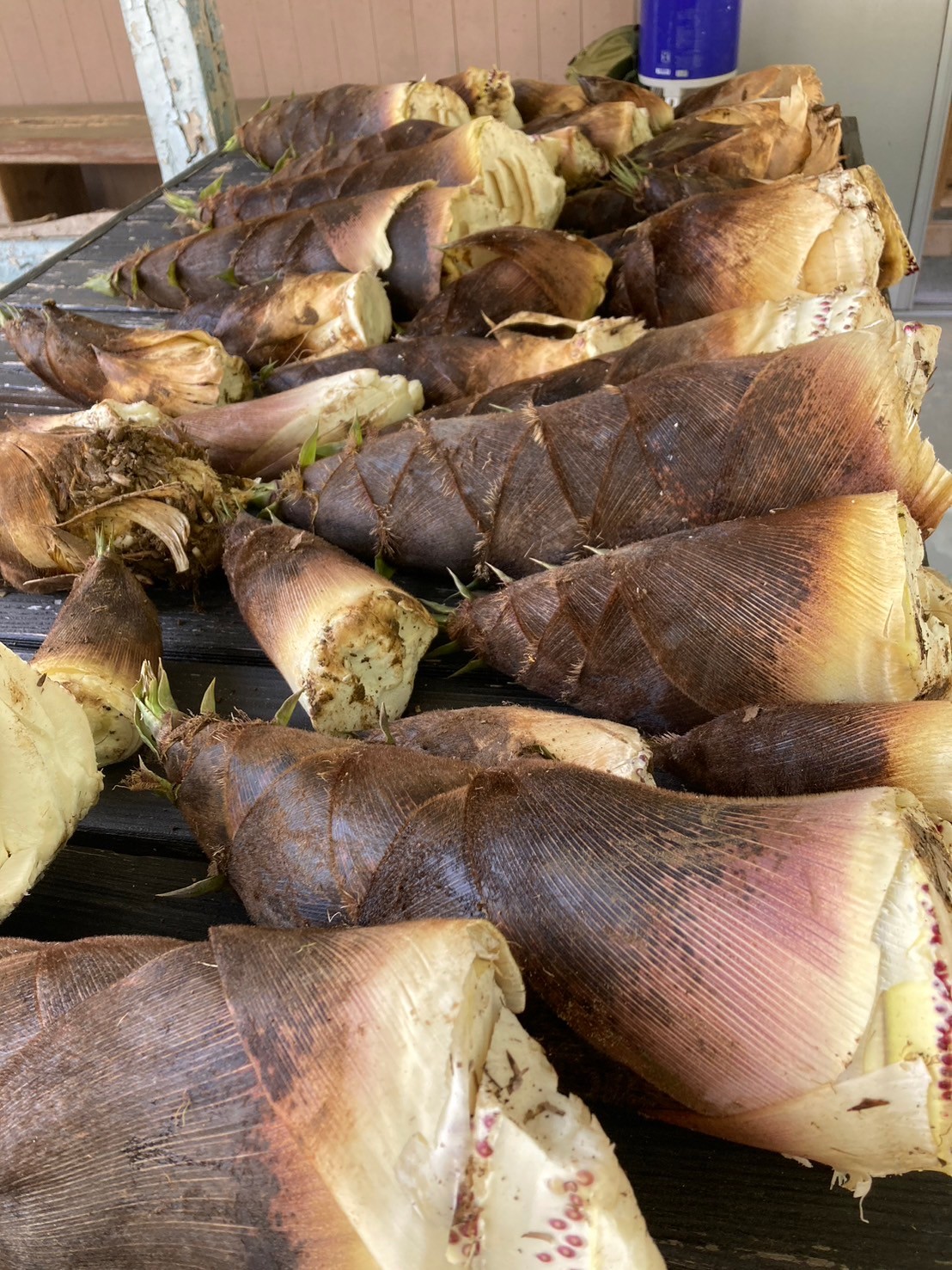 このプランのおすすめポイント写真