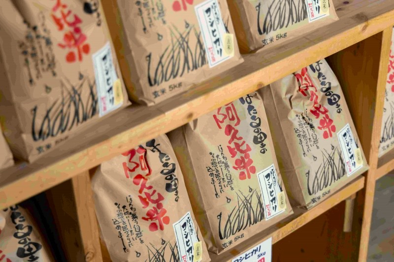 このプランのおすすめポイント写真