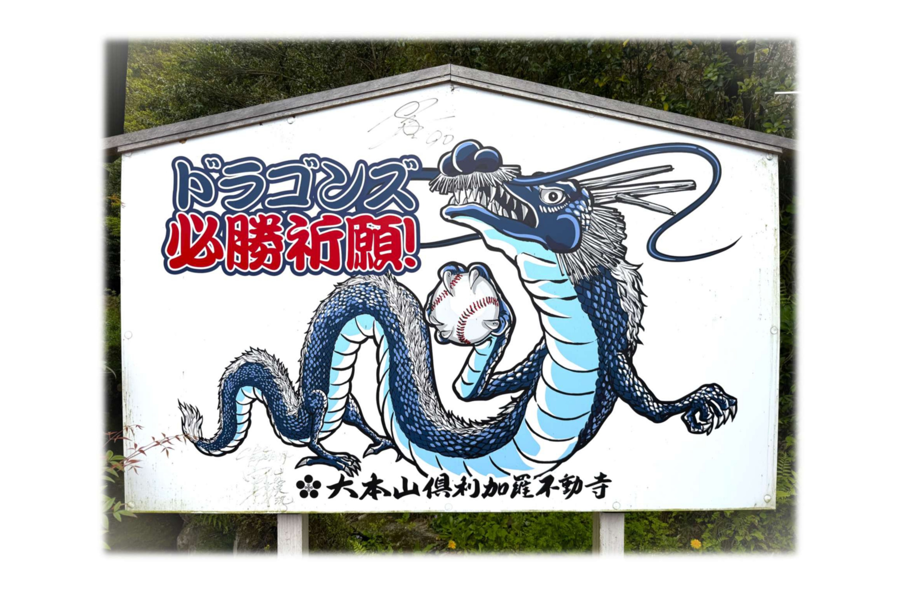 このプランのおすすめポイント写真