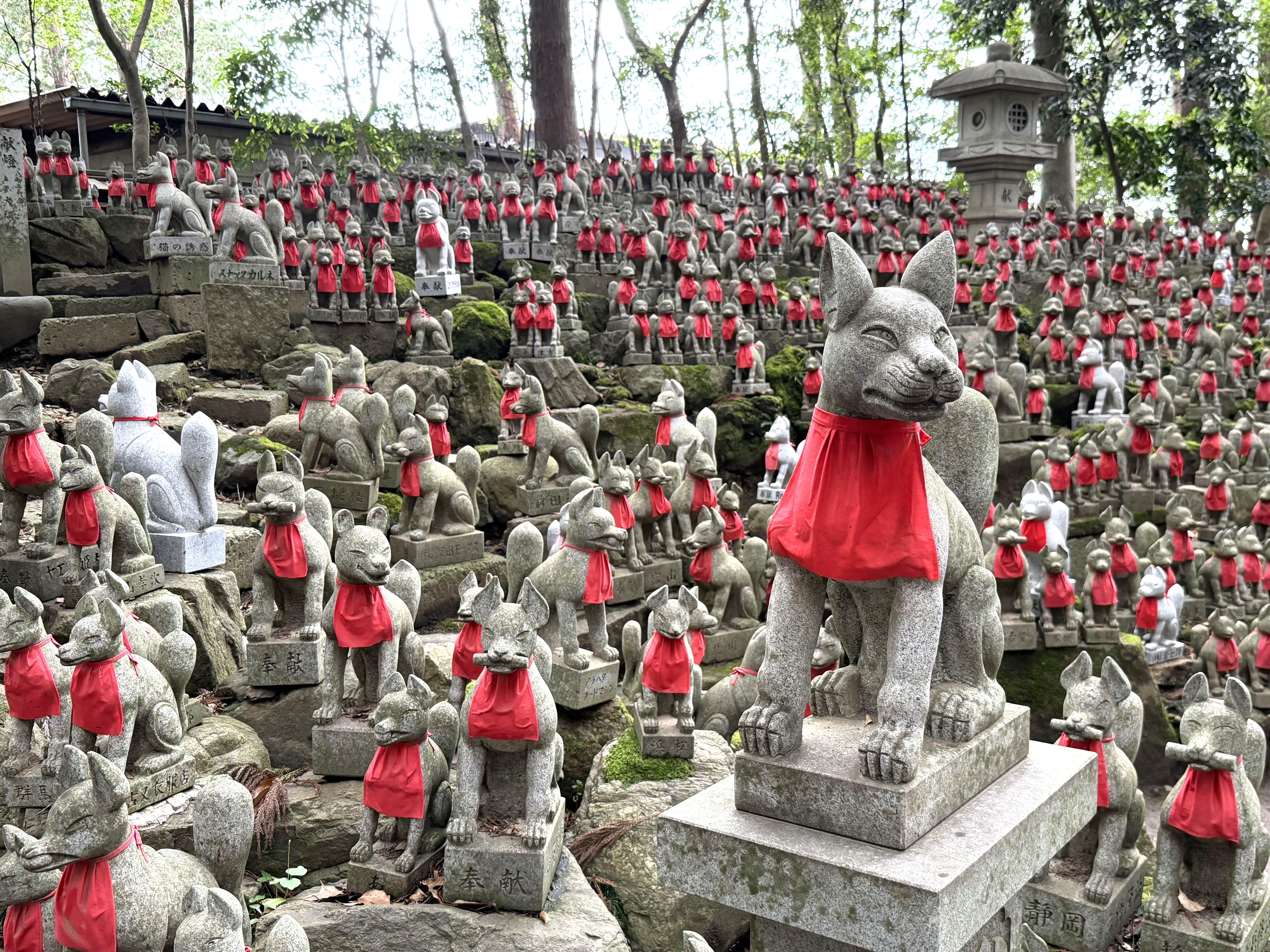 このプランのおすすめポイント写真